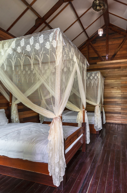 twin bed in the chalet of borneo sepilok rainforest resort