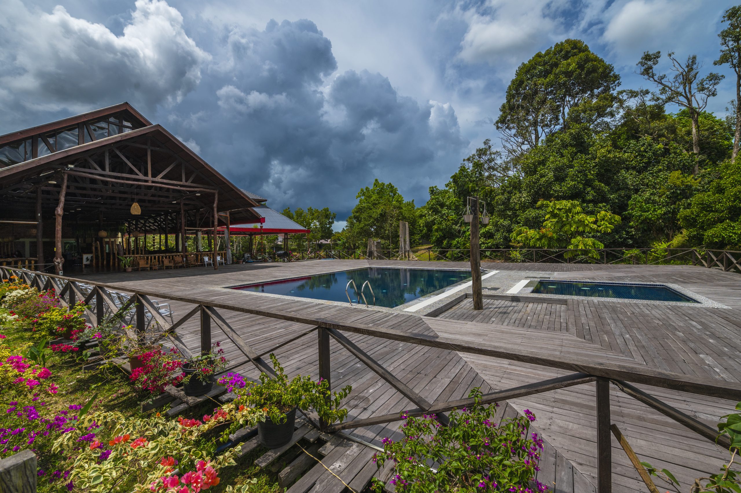swimming pool surrounded by the nature at borneo sepilok rainforest resort